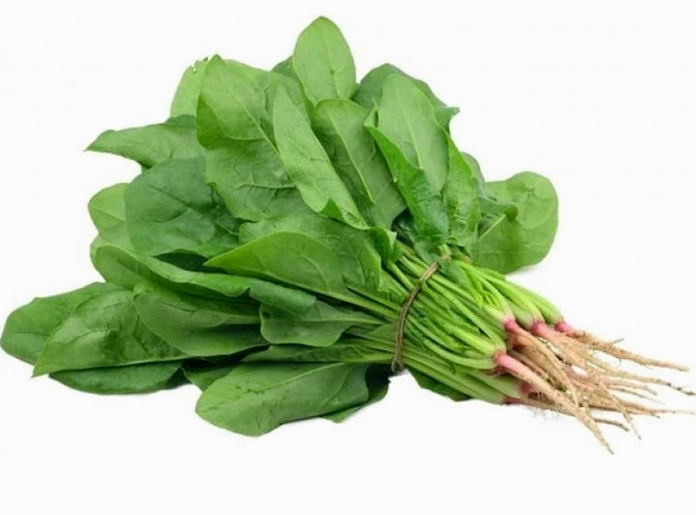 Có kinh nguyệt nên ăn gì để ra nhiều máu hơn thì câu trả lời là cải bó xôi
