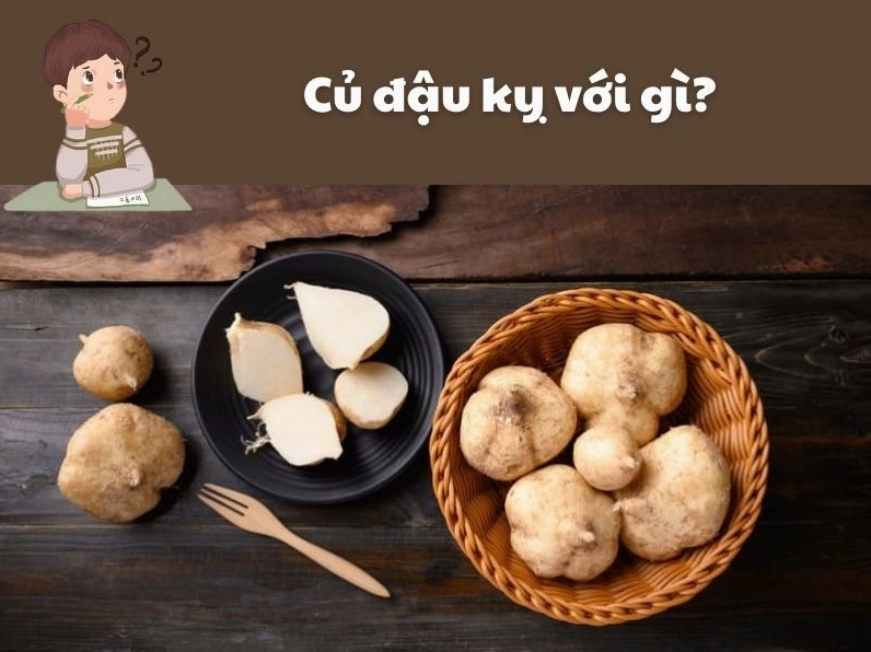 Củ đậu và những lưu ý quan trọng về sức khỏe