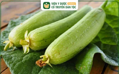 Đau dạ dày có nên ăn mướp hương không? Giải đáp từ chuyên gia