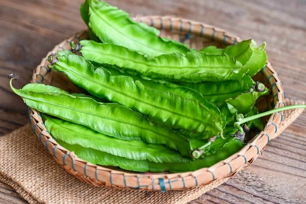 Đậu rồng là thực phẩm chứa nhiều chất dinh dưỡng