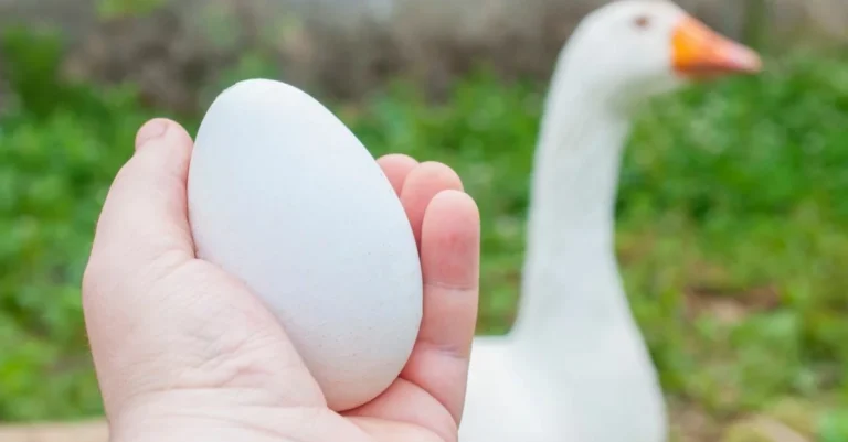 Đến ngày nên ăn gì để giảm đau bụng và cơ thể luôn tràn đầy năng lượng?