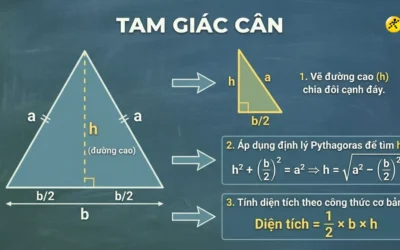 Diện tích hình tam giác tính như thế nào: Công thức và bài tập