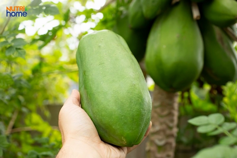 đu đủ xanh là trái cây bà bầu không nên ăn