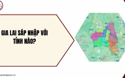 Gia Lai sáp nhập tỉnh nào? Thông tin cập nhật mới nhất