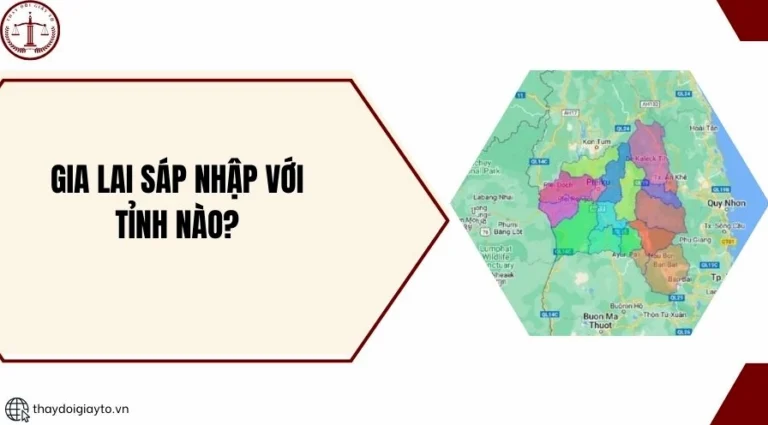 Gia Lai sáp nhập tỉnh nào? Thông tin cập nhật mới nhất