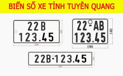 Giải Mã “22 Tỉnh Nào”: Ý Nghĩa và Thông Tin Cập Nhật 2026