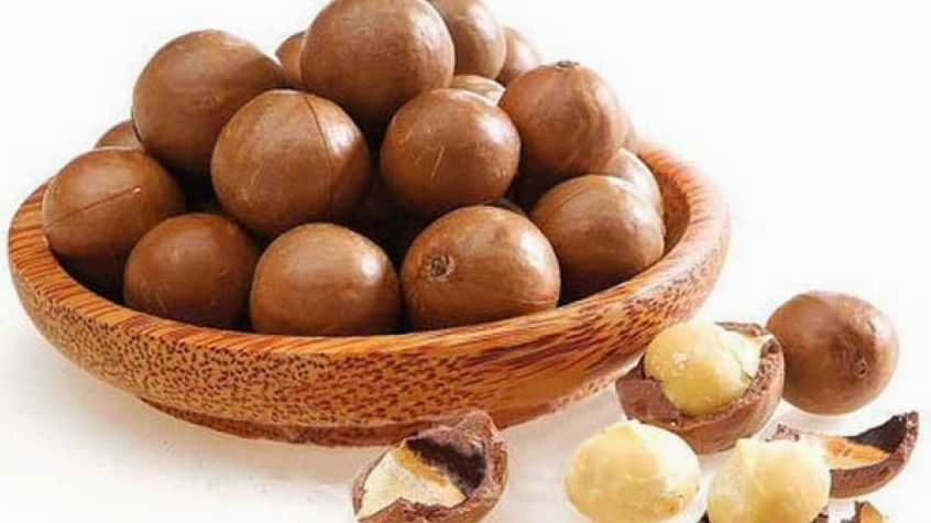 Hạt macca là loại hạt giàu dinh dưỡng bậc nhất hiện nay