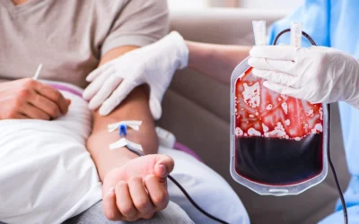Hiến máu xong nên ăn gì để phục hồi nhanh và tái tạo máu tốt nhất?