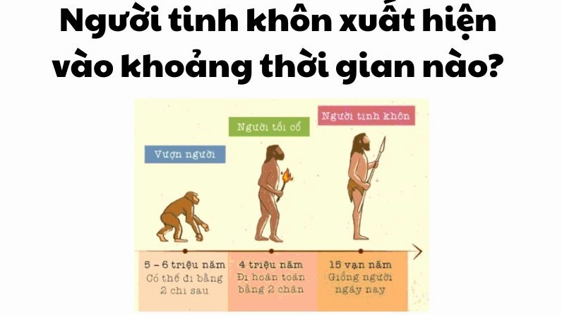 Hình ảnh minh họa cho người tinh khôn