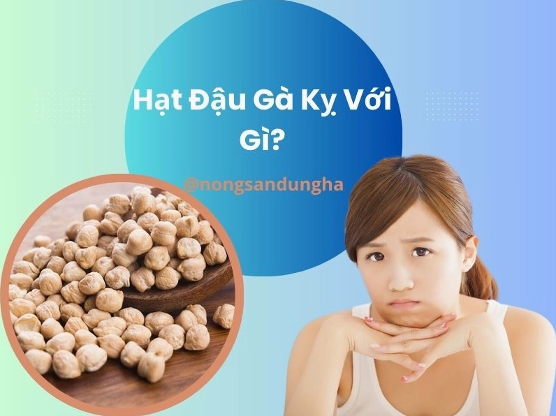 Hình ảnh minh họa hạt đậu gà dinh dưỡng