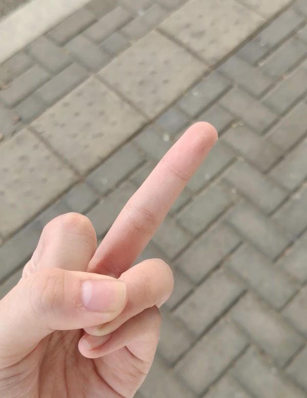 hình ảnh ngón tay giữa ngầu 3