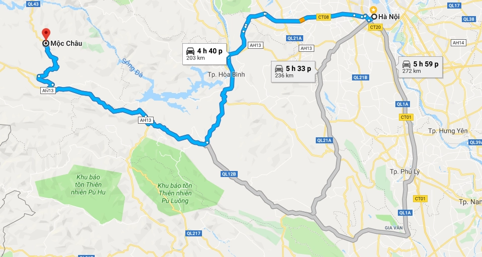 Hoa mận trắng Mộc Châu