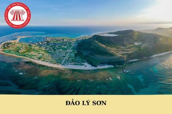 Hoạt động trên đảo Lý Sơn
