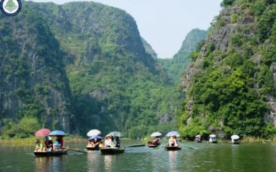 Khu Du Lịch Tam Cốc – Bích Động Thuộc Tỉnh Nào? Khám Phá Ninh Bình 2026