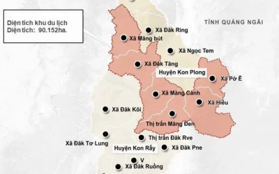 Măng Đen Ở Tỉnh Nào? Khám Phá Vùng Đất ‘Vàng Đen’ Của Việt Nam