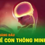 Mẹ bầu 3 tháng đầu nên ăn gì để thai nhi phát triển khỏe mạnh?