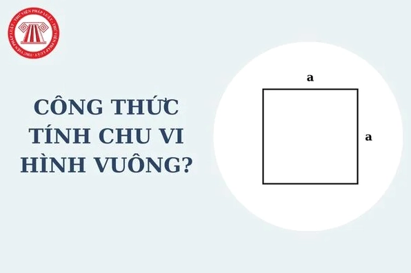  Minh họa cách tính chu vi hình vuông