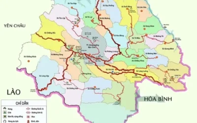 Mộc Châu Thuộc Tỉnh Nào? Khám Phá Vẻ Đẹp Cao Nguyên Xanh Mát 2026