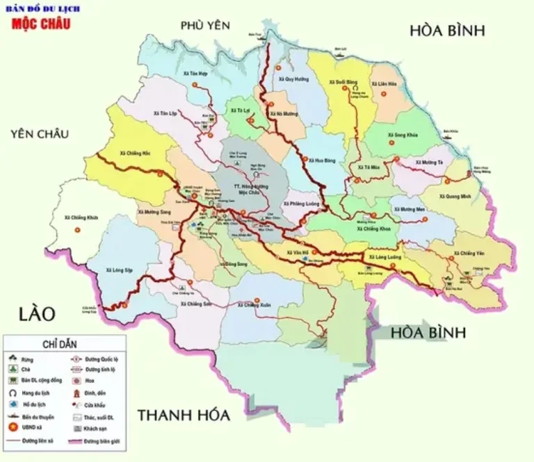 Mộc Châu Thuộc Tỉnh Nào? Khám Phá Vẻ Đẹp Cao Nguyên Xanh Mát 2026