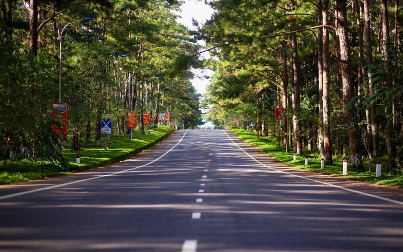 Món ăn chế biến từ măng đen