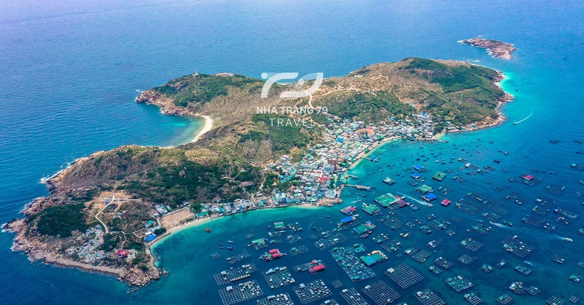 Món tôm hùm tươi ngon trên Đảo Bình Hưng