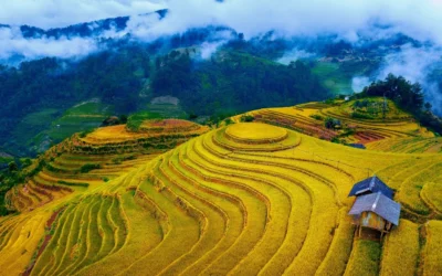 Mù Cang Chải Ở Tỉnh Nào? Khám Phá Vẻ Đẹp Ruộng Bậc Thang