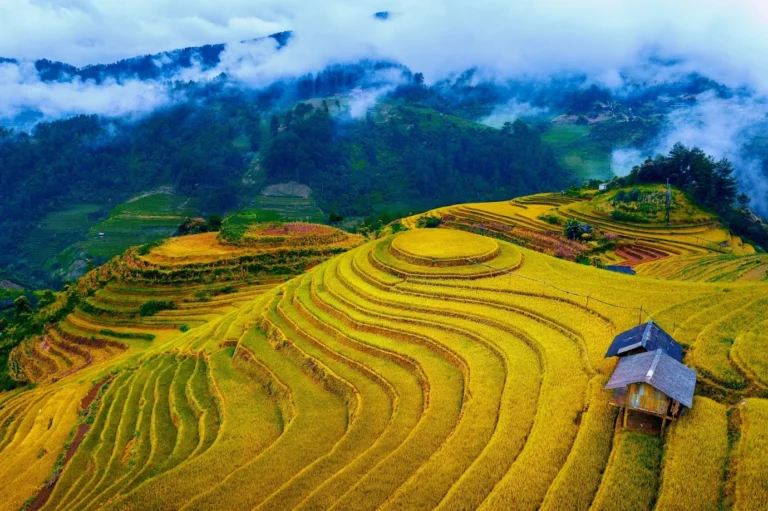 Mù Cang Chải Ở Tỉnh Nào? Khám Phá Vẻ Đẹp Ruộng Bậc Thang