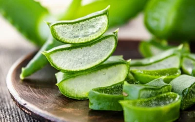 Nên ăn nha đam sống hay chín? Bí quyết sử dụng an toàn và hiệu quả