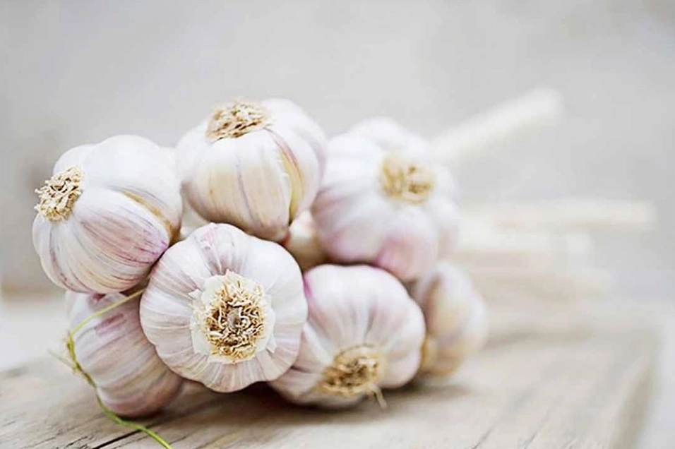 Nên ăn tỏi mỗi khi bị cảm cúm.