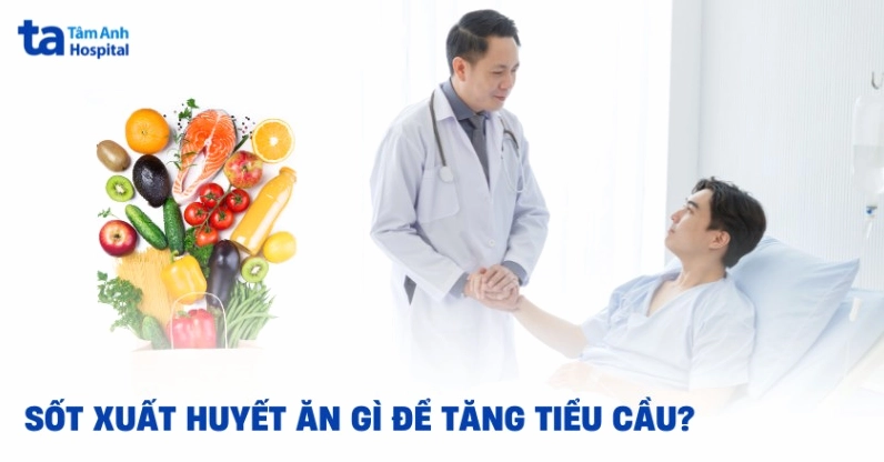 Người bệnh sốt xuất huyết cần bổ sung dinh dưỡng hợp lý để tăng tiểu cầu