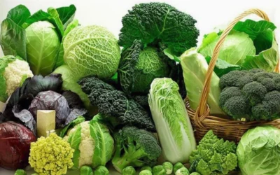 Người bị tiểu đường nên ăn gì để kiểm soát đường huyết hiệu quả?