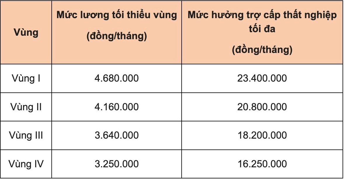 Người lao động tìm kiếm việc làm