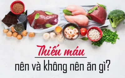 Người thiếu máu nên ăn gì? 4 nhóm thực phẩm giúp bổ máu hiệu quả