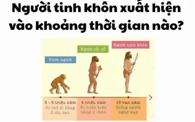 Người Tinh Khôn Xuất Hiện Khi Nào: Khám Phá Mốc Thời Gian$