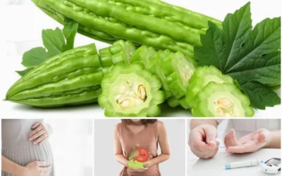 Những Ai Không Nên Ăn Mướp Đắng? Cảnh Báo Sức Khỏe Bạn Cần Biết