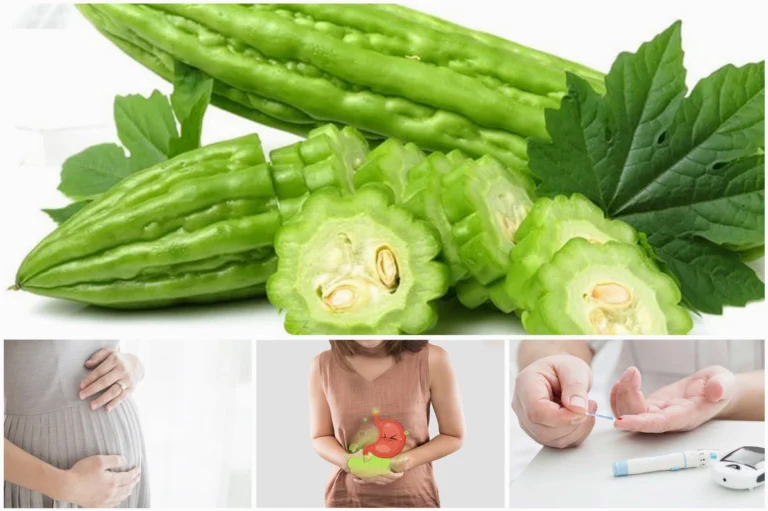 Những Ai Không Nên Ăn Mướp Đắng? Cảnh Báo Sức Khỏe Bạn Cần Biết