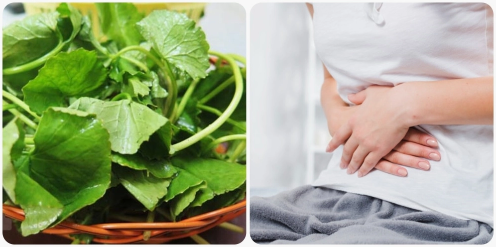 Những ai không nên ăn rau má?