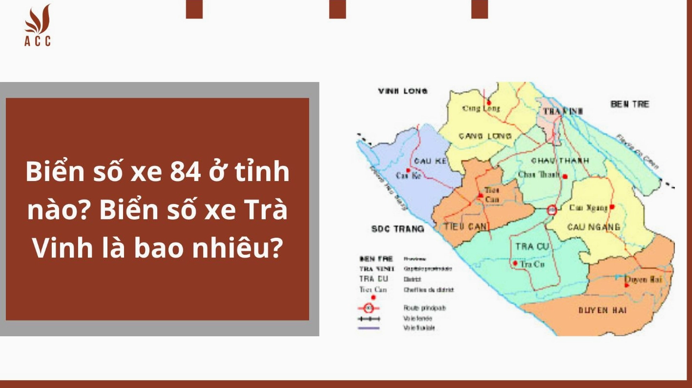 Nụ cười tươi tắn