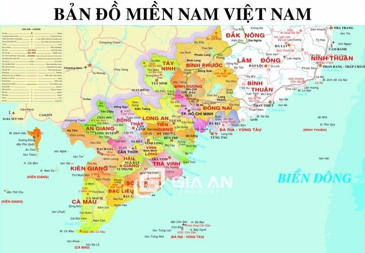 Đồi chè tại Bình Phước