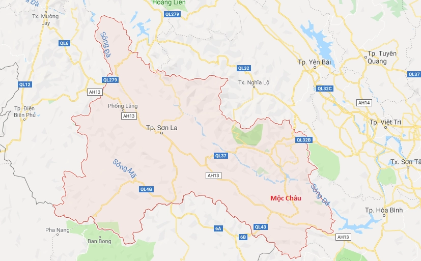 Đồi chè trái tim Mộc Châu