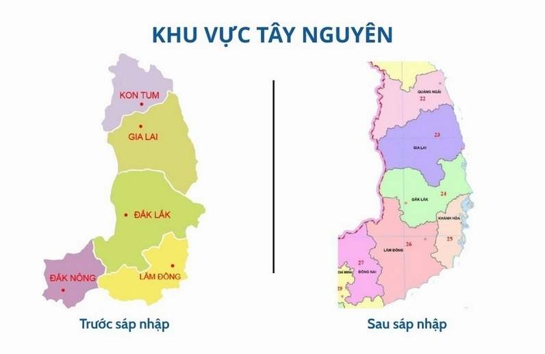 Đồi chè xanh mướt tại vùng cao nguyên