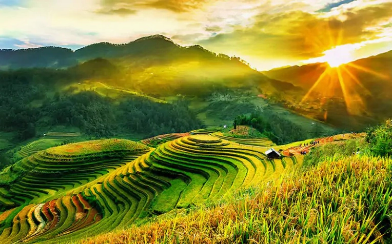 Ruộng bậc thang Mù Cang Chải mùa lúa chín