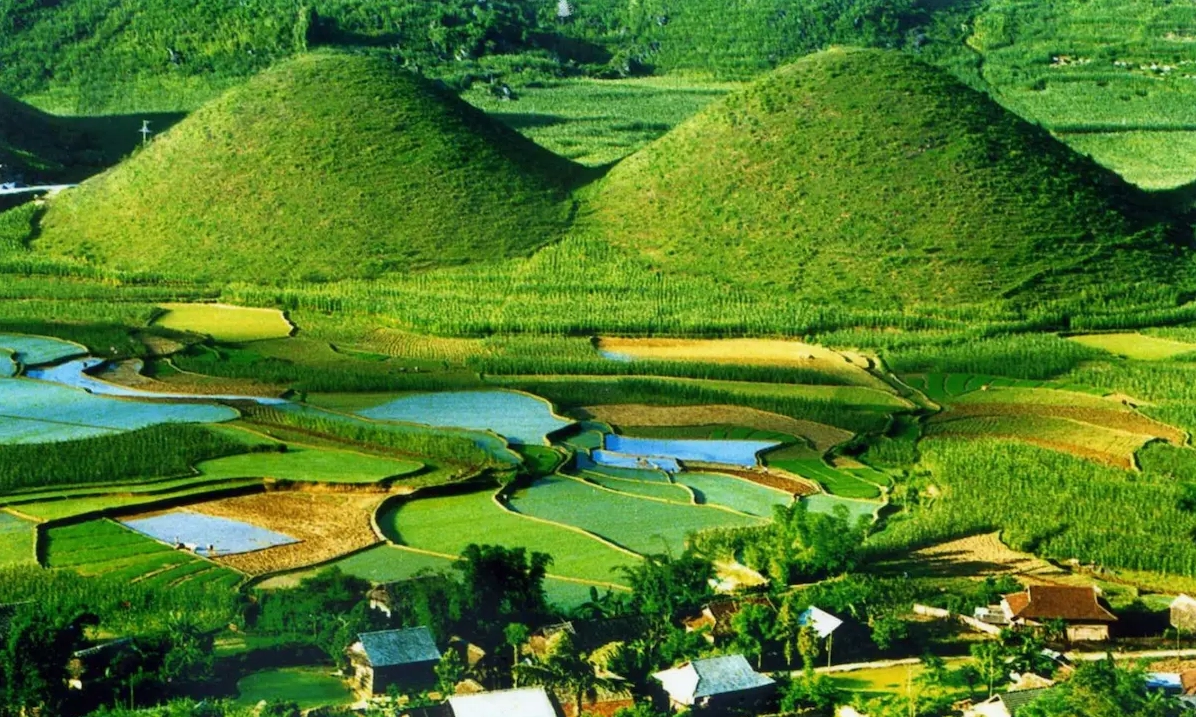 Ruộng bậc thang mùa lúa chín gần Núi Đôi Quản Bạ
