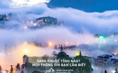 Sa Pa Thuộc Tỉnh Nào? Khám Phá Vẻ Đẹp Vùng Núi Phía Bắc