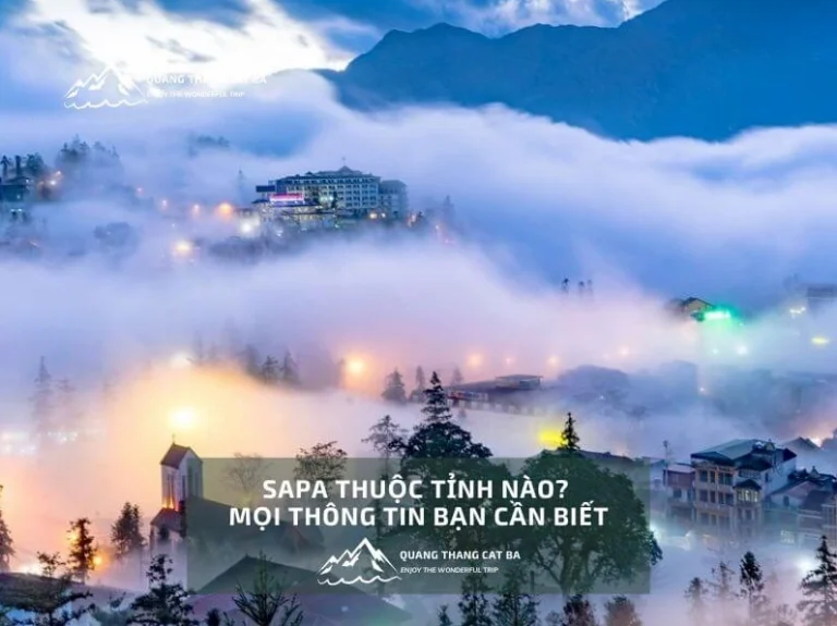 Sa Pa Thuộc Tỉnh Nào? Khám Phá Vẻ Đẹp Vùng Núi Phía Bắc