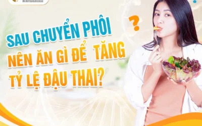 Sau chuyển phôi nên ăn gì? Chế độ dinh dưỡng vàng giúp phôi làm tổ