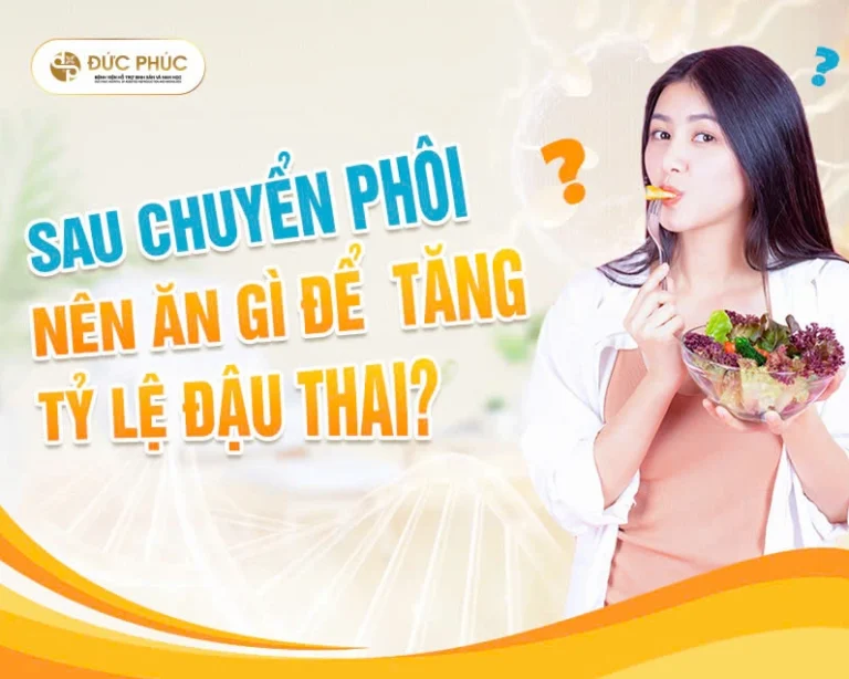 Sau chuyển phôi nên ăn gì? Chế độ dinh dưỡng vàng giúp phôi làm tổ