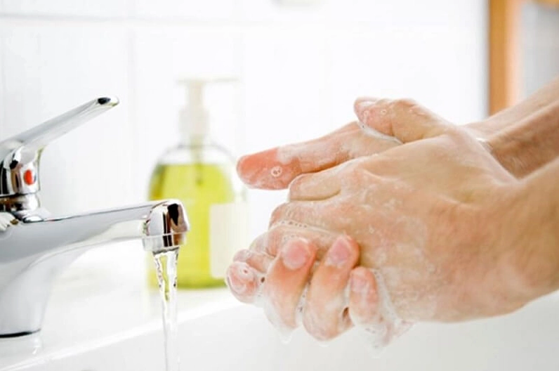 Sử dụng thức ăn dễ tiêu hóa cho heo bị tiêu chảy