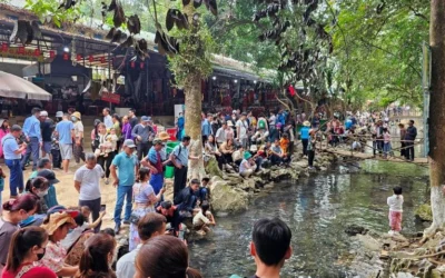 Suối Cá Thần Cẩm Lương Thuộc Tỉnh Nào? Khám Phá Điểm Du Lịch Hấp Dẫn