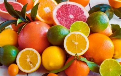 Suy Nhược Cơ Thể Nên Ăn Gì Để Nhanh Hồi Phục Sức Khỏe Tối Ưu Nhất?